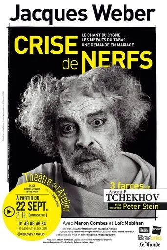 Póster de Crise de nerfs