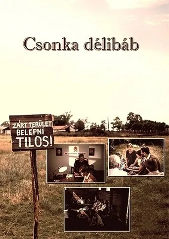 Póster de Csonka délibáb