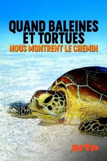 Póster de Cuando ballenas y tortugas nos muestran el camino
