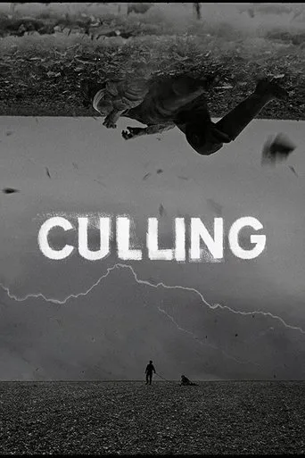 Póster de Culling