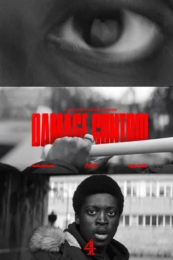 Póster de Damage Control (Enough)