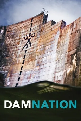 Póster de DamNation