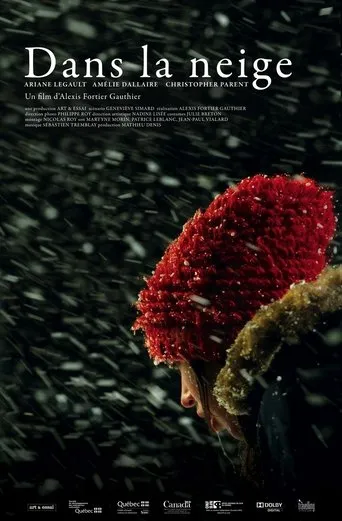 Póster de Dans la neige