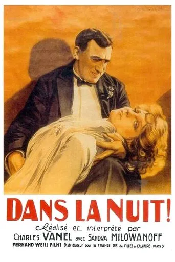 Póster de Dans la nuit