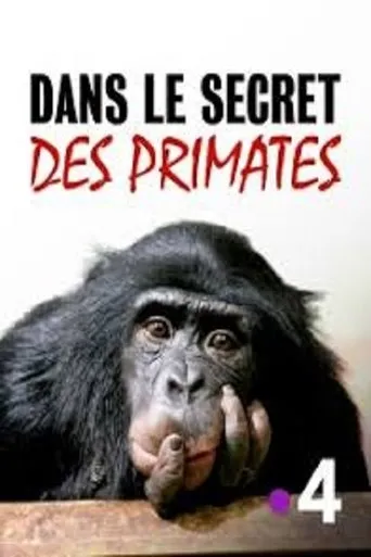 Póster de Dans le secret des primates