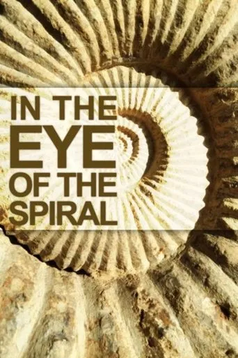 Póster de Dans L’oeil de la Spirale