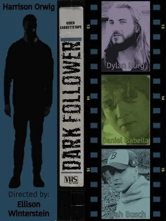 Póster de Dark Follower