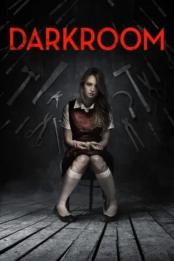 Póster de Darkroom