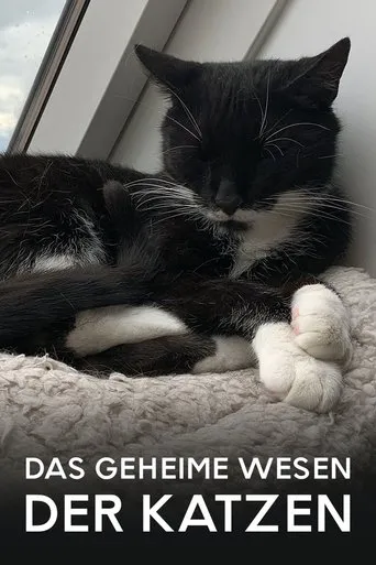 Póster de Das geheime Wesen der Katzen