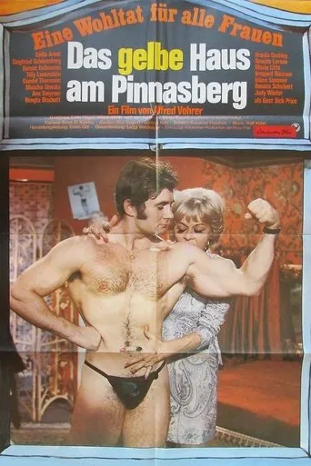 Póster de Das gelbe Haus am Pinnasberg