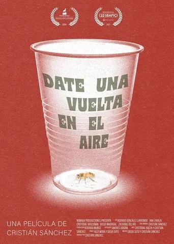Póster de Date una vuelta en el aire