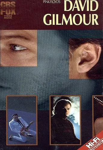 Póster de David Gilmour: Live 1984