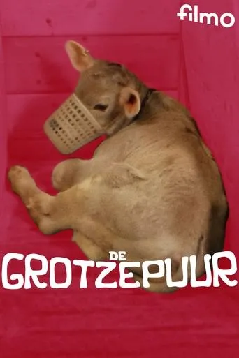Póster de De grotzepuur