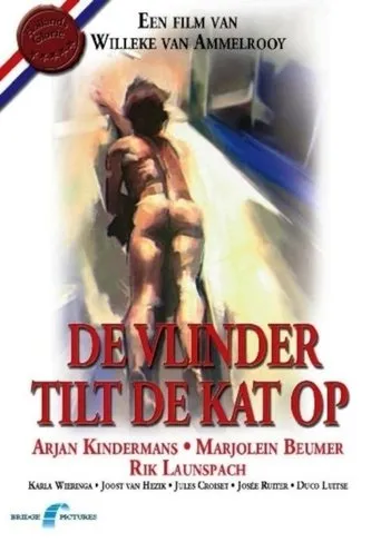 Póster de De vlinder tilt de kat op