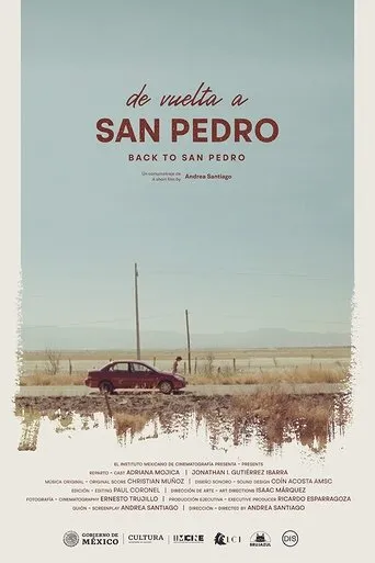 Póster de De vuelta a San Pedro