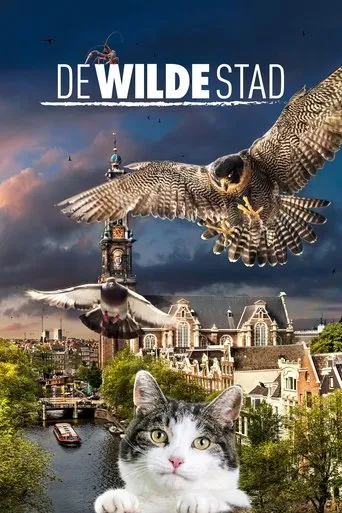 Póster de De Wilde Stad