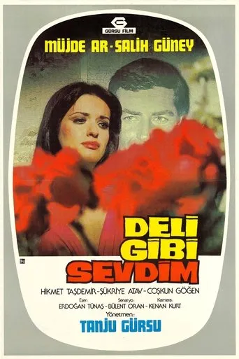 Póster de Deli Gibi Sevdim