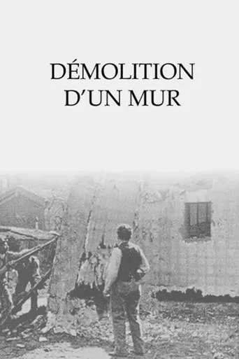 Póster de Démolition d'un mur