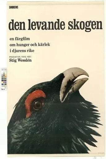 Póster de Den levande skogen