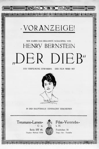 Póster de Der Dieb