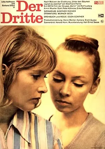 Póster de Der Dritte