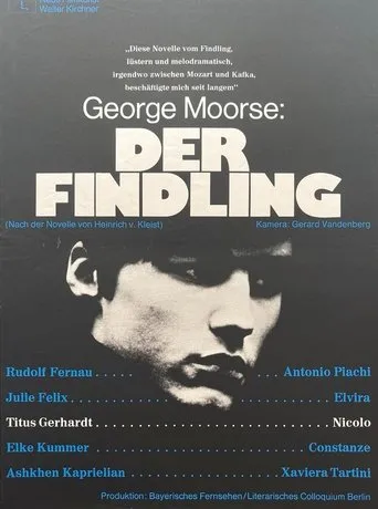Póster de Der Findling