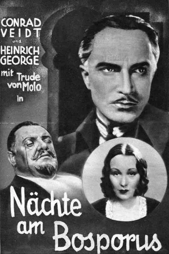 Póster de Der Mann, der den Mord beging