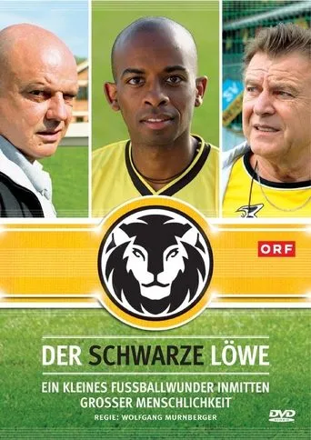 Póster de Der schwarze Löwe