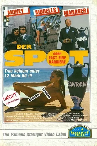 Póster de Der Spot oder Fast eine Karriere