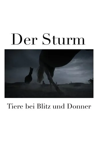 Póster de Der Sturm - Tiere bei Blitz und Donner