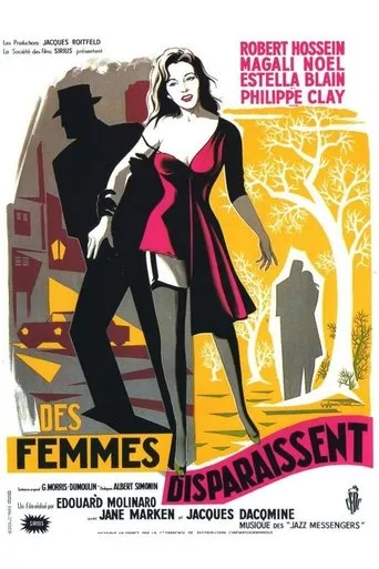 Póster de Des femmes disparaissent