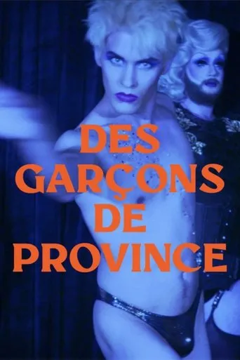 Póster de Des garçons de province