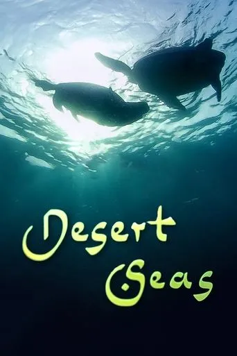 Póster de Desert Seas
