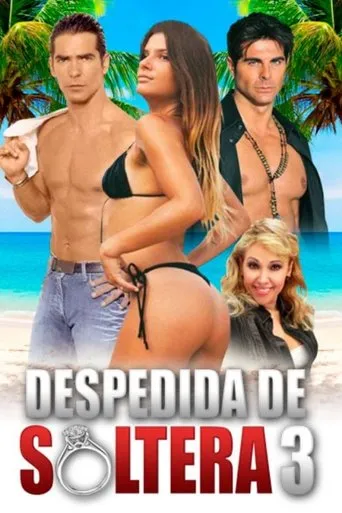 Póster de Despedida de soltera 3