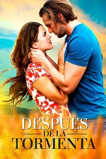 Póster de Después de la Tormenta