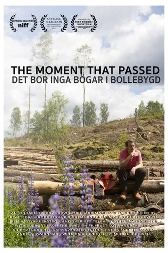 Póster de Det bor inga bögar i Bollebygd