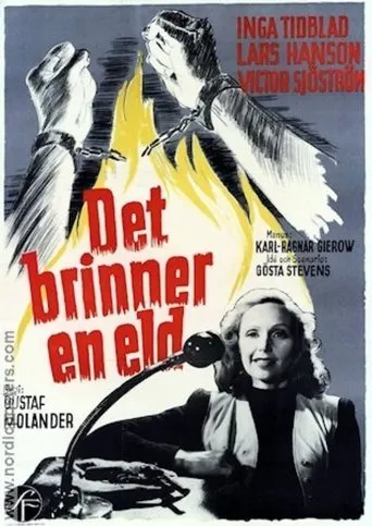 Póster de Det brinner en eld