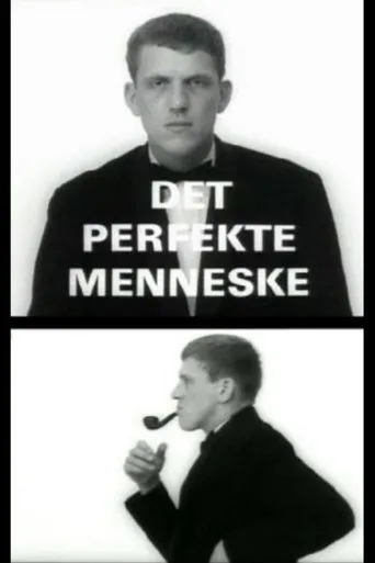 Póster de Det perfekte menneske