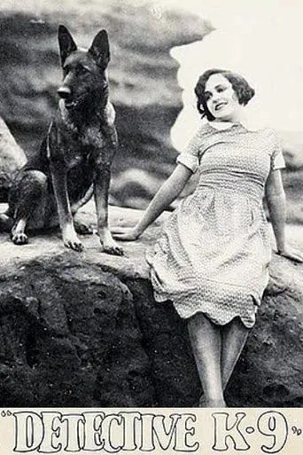Póster de Detective K-9