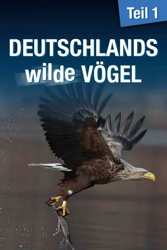 Póster de Deutschlands wilde Vögel