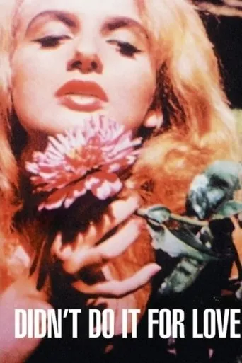 Póster de Didn't Do It For Love
