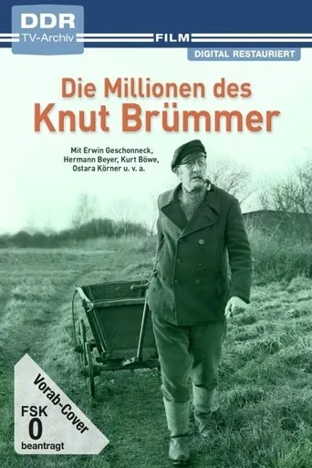 Póster de Die Millionen des Knut Brümmer