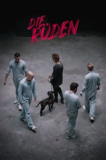 Póster de Die Rüden