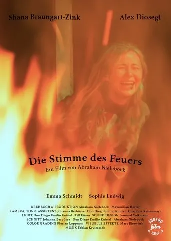 Póster de Die Stimme des Feuers