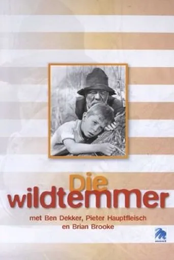 Póster de Die Wildtemmer