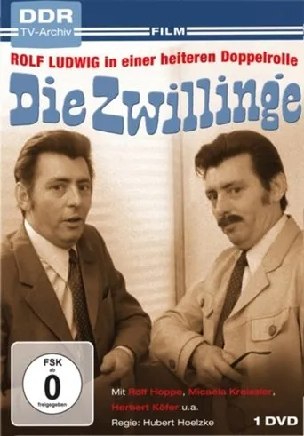 Póster de Die Zwillinge