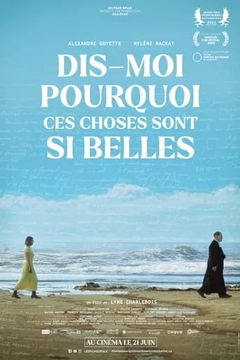 Póster de Dis-moi pourquoi ces choses sont si belles