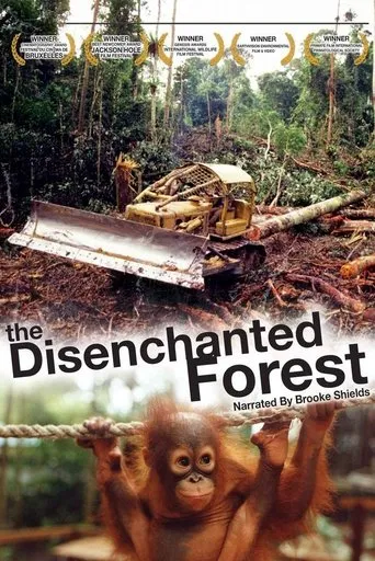 Póster de Disenchanted Forest