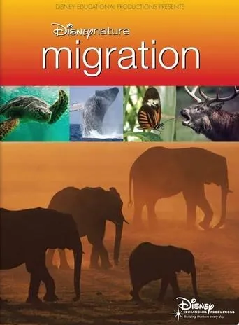 Póster de Disneynature: Migration