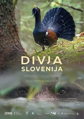 Póster de Divja Slovenija